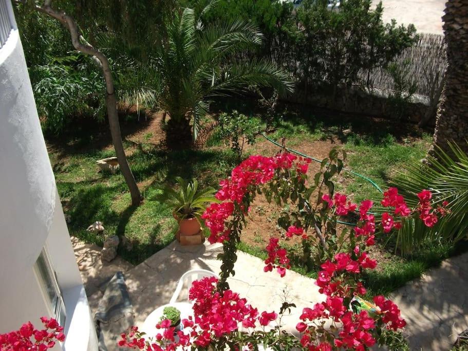 Appartement Familia *
